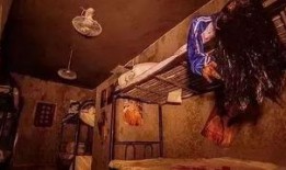 鬼屋在线观看免费,揭秘恐怖背后的真实故事